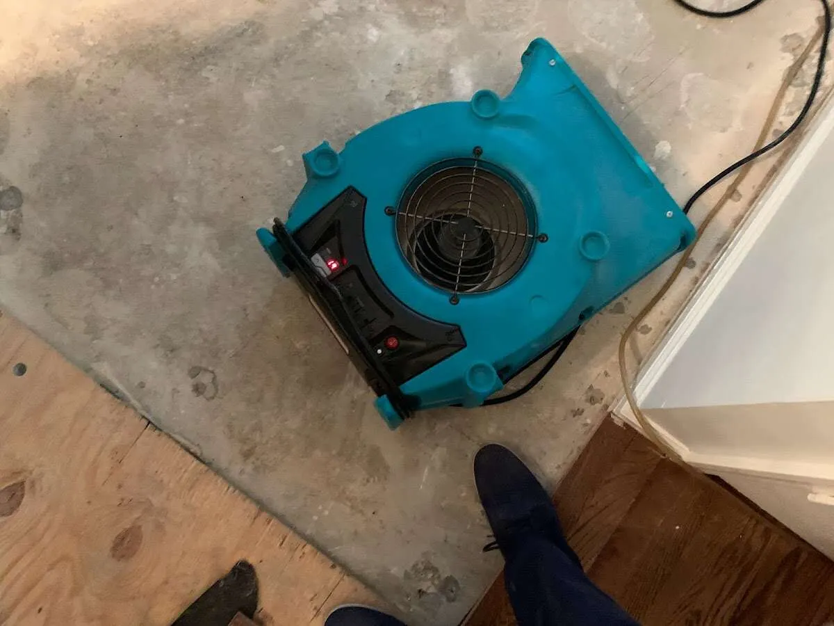 Air mover drying subfloor during Leak Detection & Repair in Ennis